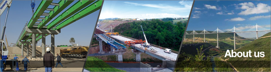 Emergency Bridging