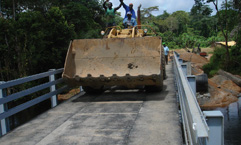 Mining Bridges