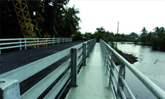 Permaent Bridging